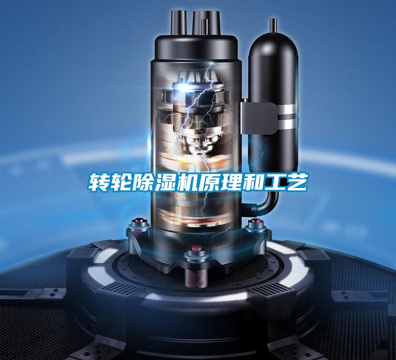 轉輪91视频链接下载原理和工藝