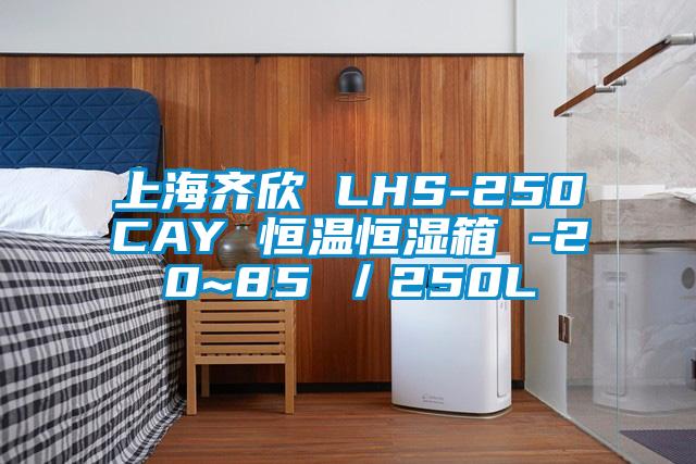 上海齊欣 LHS-250CAY 恒溫恒濕箱 -20~85℃/250L