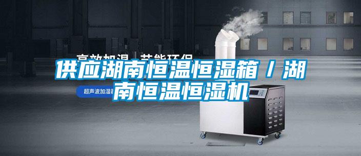 供應湖南恒溫恒濕箱/湖南恒溫恒濕機