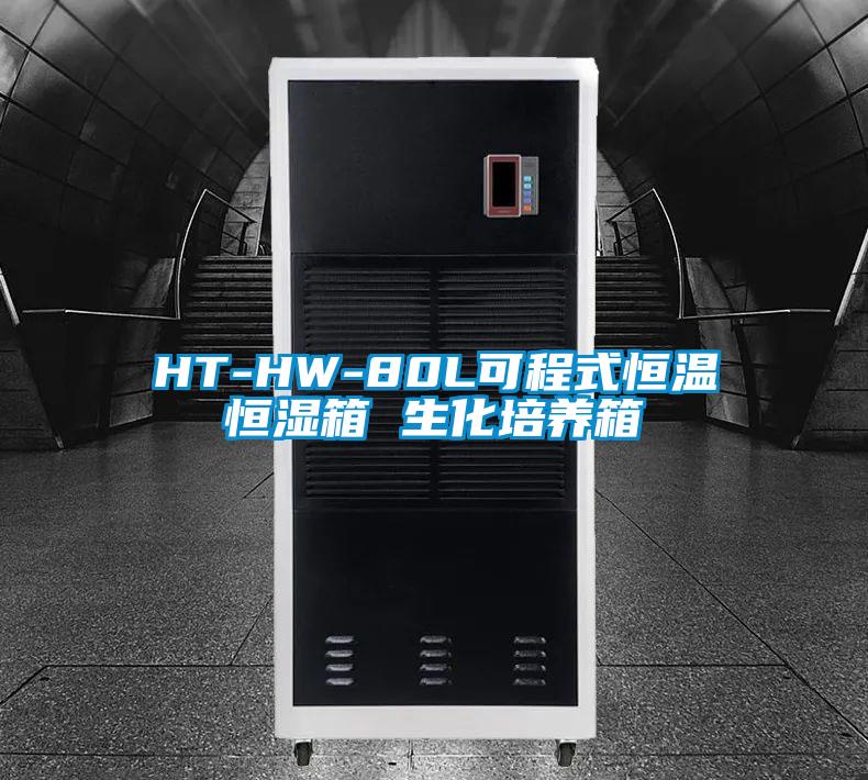 HT-HW-80L可程式恒溫恒濕箱 生化培養箱