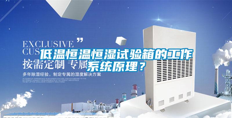 低溫恒溫恒濕試驗箱的工作係統原理？