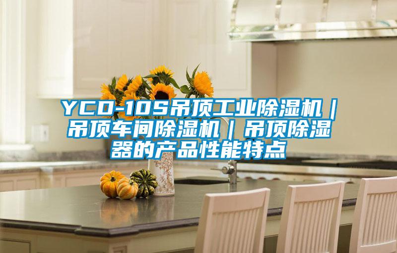 YCD-10S吊頂工業91视频链接下载|吊頂車間91视频链接下载|吊頂除濕器的產品性能特點