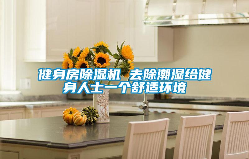 健身房91视频链接下载 去除潮濕給健身人士一個舒適環境