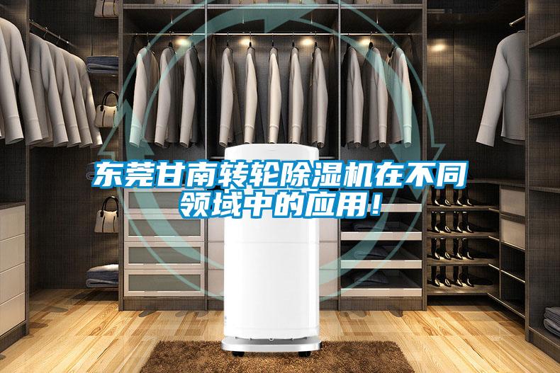 東莞甘南轉輪91视频链接下载在不同領域中的應用！