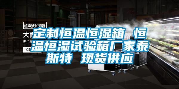 定製恒溫恒濕箱 恒溫恒濕試驗箱廠家泰斯特 現貨供應