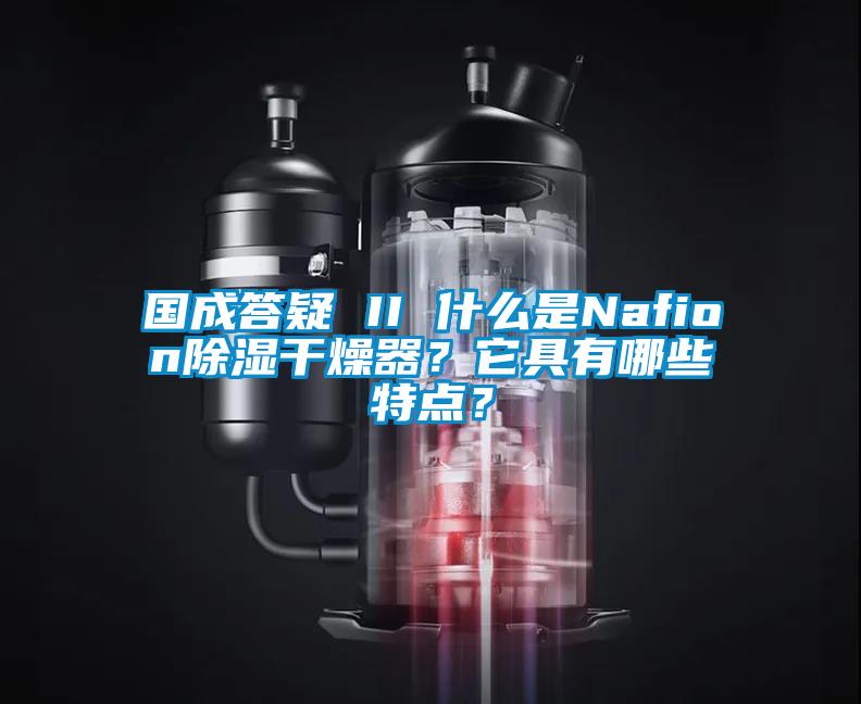 國成答疑 II 什麽是Nafion除濕幹燥器？它具有哪些特點？
