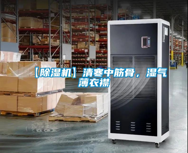 【91视频链接下载】清寒中筋骨，濕氣薄衣襟