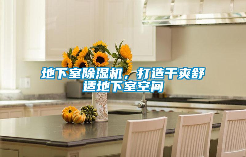 地下室91视频链接下载，打造幹爽舒適地下室空間