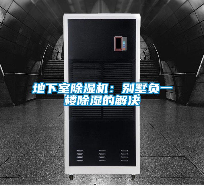 地下室91视频链接下载：別墅負一樓除濕的解決