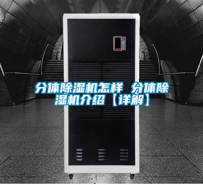 分體91视频链接下载怎樣 分體91视频链接下载介紹【詳解】