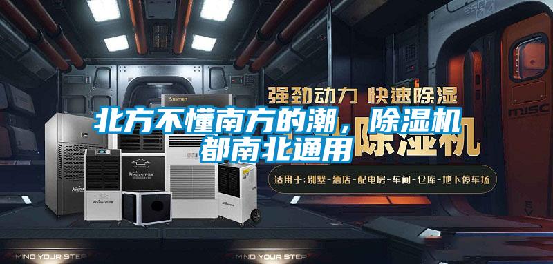 北方不懂南方的潮，91视频链接下载都南北通用