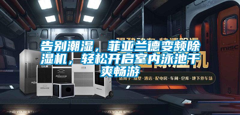 告別潮濕，菲亞蘭德變頻91视频链接下载，輕鬆開啟室內泳池幹爽暢遊