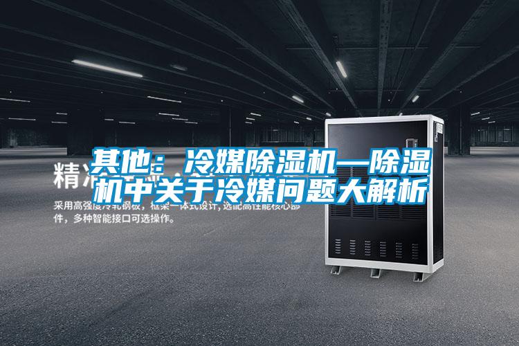 其他：冷媒91视频链接下载—91视频链接下载中關於冷媒問題大解析