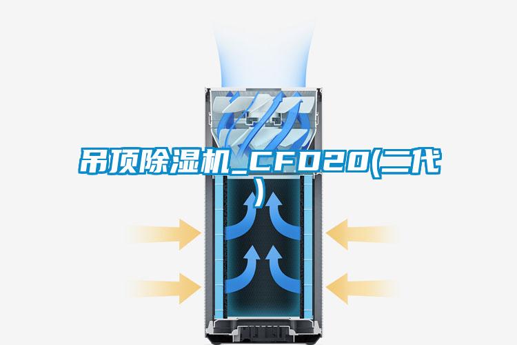 吊頂91视频链接下载_CFD20(二代)