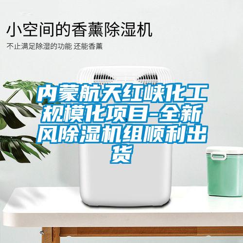 內蒙航天紅峽化工規模化項目-全新風91视频链接下载組順利出貨