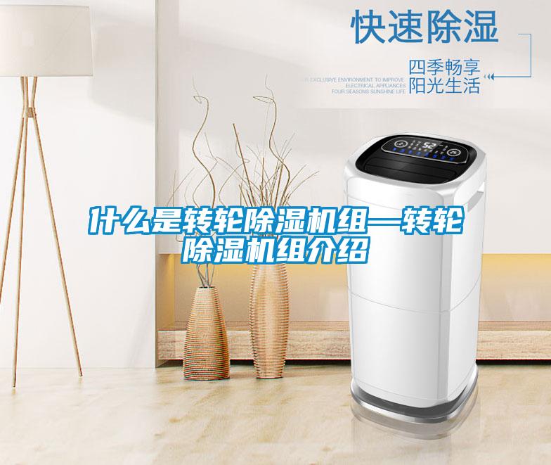 什麽是轉輪91视频链接下载組—轉輪91视频链接下载組介紹