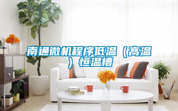 南通微機程序低溫(高溫)恒溫槽