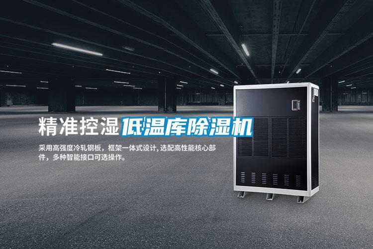 低溫庫91视频链接下载