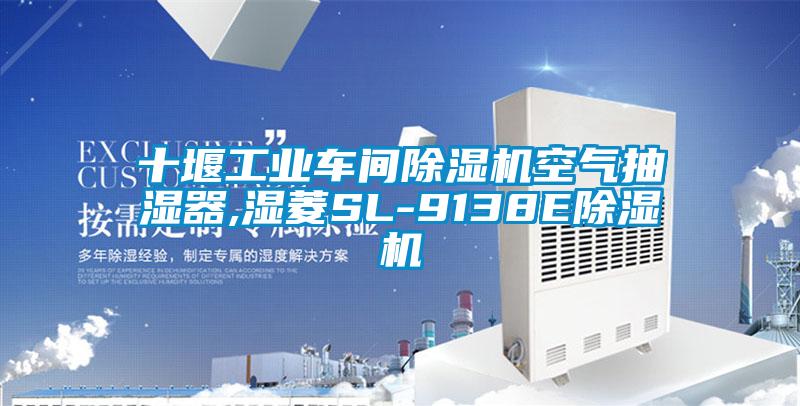 十堰工業車間91视频链接下载空氣抽濕器,濕菱SL-9138E91视频链接下载