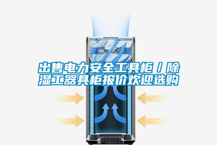 出售電力安全工具櫃/除濕工器具櫃報價歡迎選購