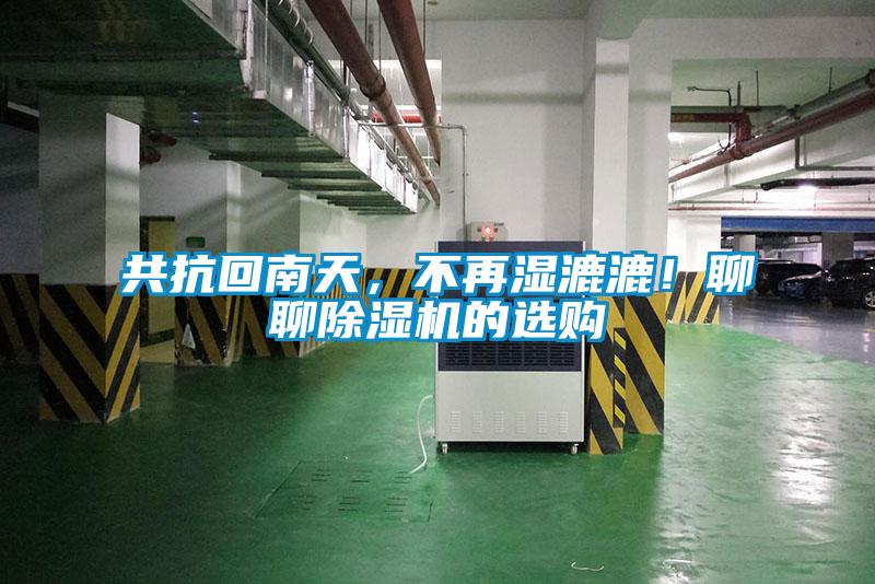 共抗回南天，不再濕漉漉！聊聊91视频链接下载的選購