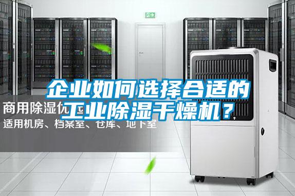 企業如何選擇合適的工業除濕幹燥機？