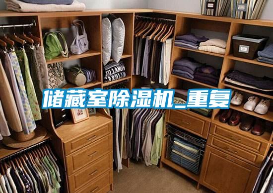 儲藏室91视频链接下载_重複