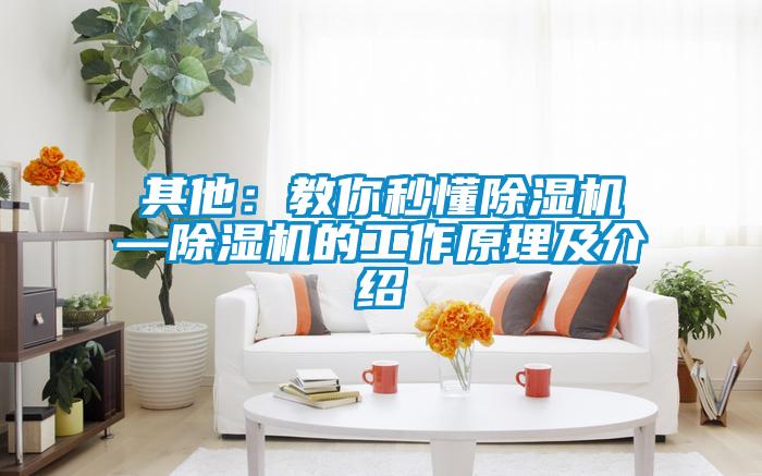 其他：教你秒懂91视频链接下载—91视频链接下载的工作原理及介紹