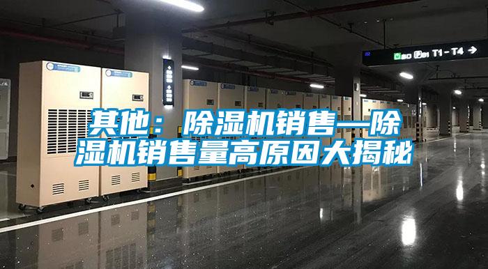 其他：91视频链接下载銷售—91视频链接下载銷售量高原因大揭秘