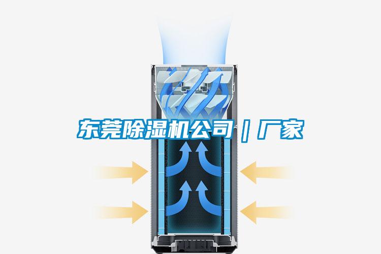 東莞91视频链接下载公司|廠家