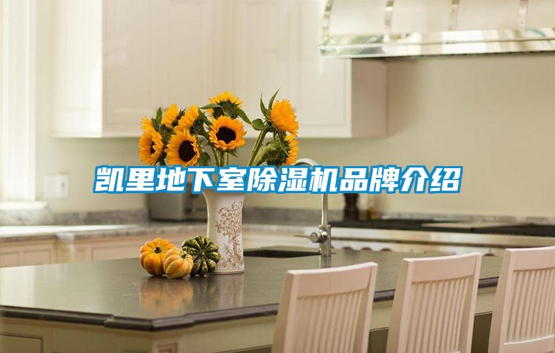 凱裏地下室91视频链接下载品牌介紹