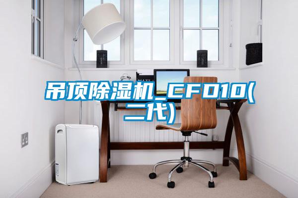 吊頂91视频链接下载_CFD10(二代)