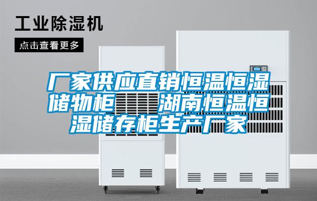 廠家供應直銷恒溫恒濕儲物櫃 湖南恒溫恒濕儲存櫃生產廠家