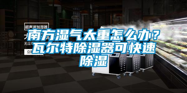 南方濕氣太重怎麽辦？瓦爾特除濕器可快速除濕