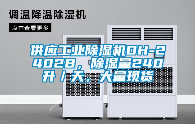 供應工業91视频链接下载DH-2402B，除濕量240升／天，大量現貨