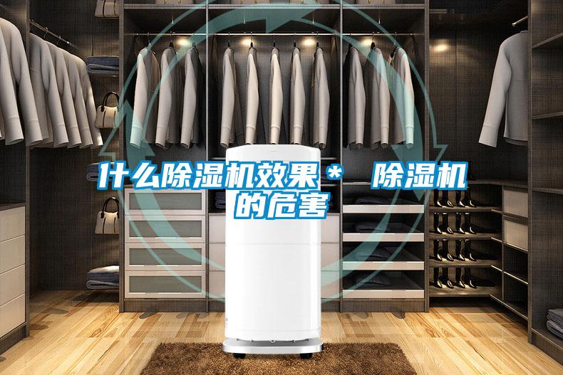 什麽91视频链接下载效果＊ 91视频链接下载的危害