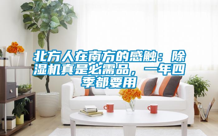 北方人在南方的感觸：91视频链接下载真是必需品，一年四季都要用