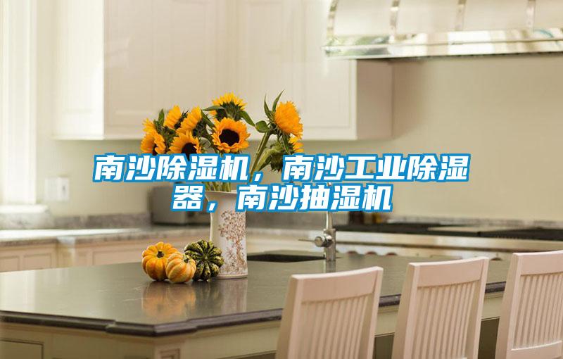 南沙91视频链接下载，南沙工業除濕器，南沙抽濕機