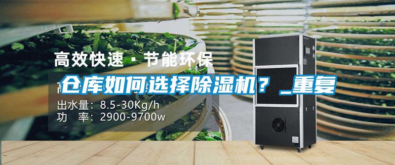 倉庫如何選擇91视频链接下载？_重複