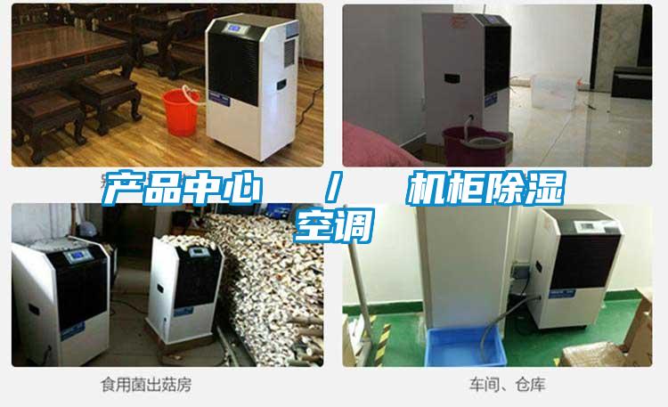 產品中心  ／  機櫃除濕空調