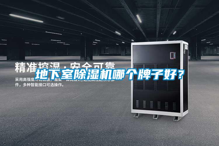 地下室91视频链接下载哪個牌子好？