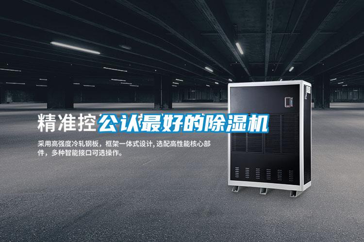 公認最好的91视频链接下载