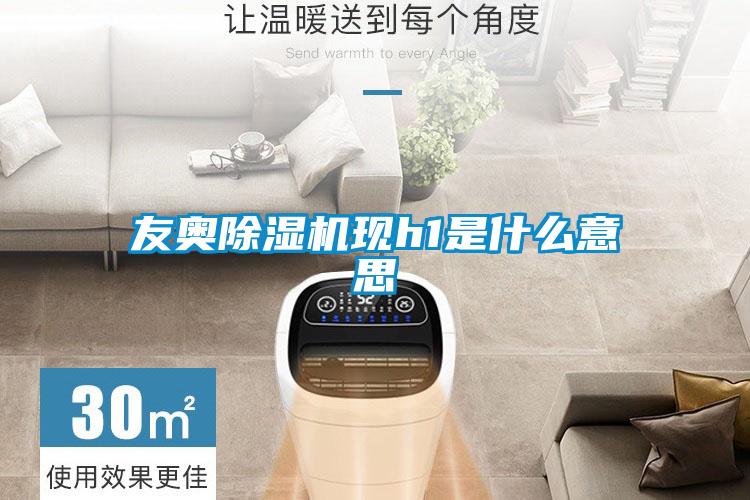 友奧91视频链接下载現h1是什麽意思