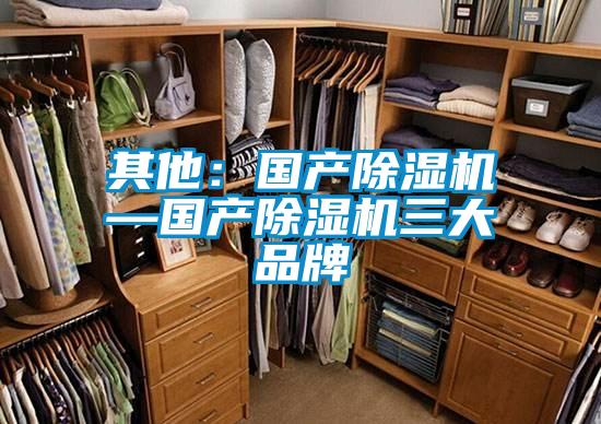 其他：國產91视频链接下载—國產91视频链接下载三大品牌