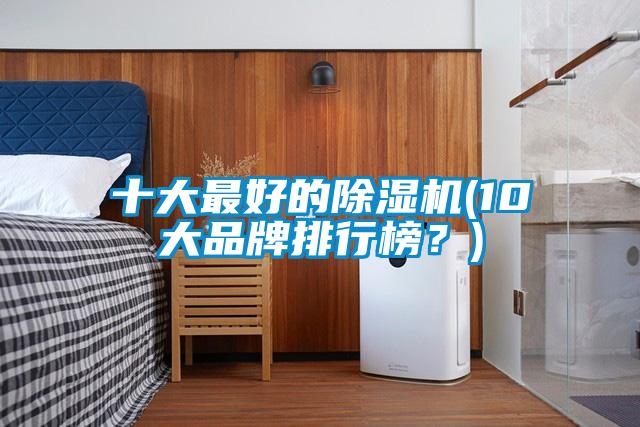 十大最好的91视频链接下载(10大品牌排行榜？)