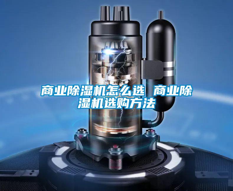 商業91视频链接下载怎麽選 商業91视频链接下载選購方法