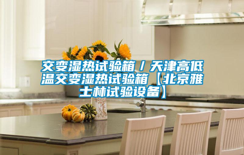 交變濕熱試驗箱/天津高低溫交變濕熱試驗箱【北京雅士林試驗設備】