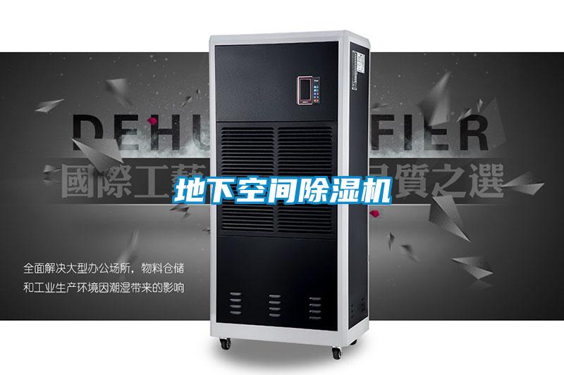 地下空間91视频链接下载