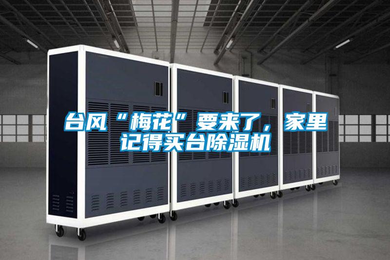 台風“梅花”要來了，家裏記得買台91视频链接下载