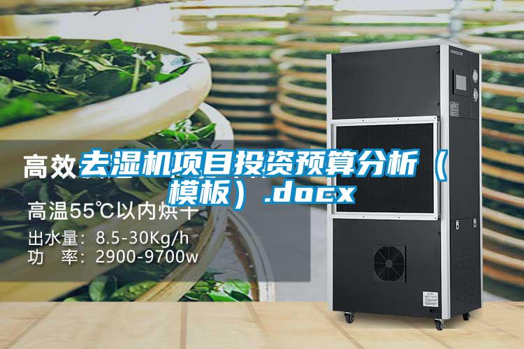去濕機項目投資預算分析(模板).docx
